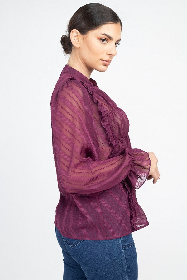 Semi Sheer Ruffle Blouse